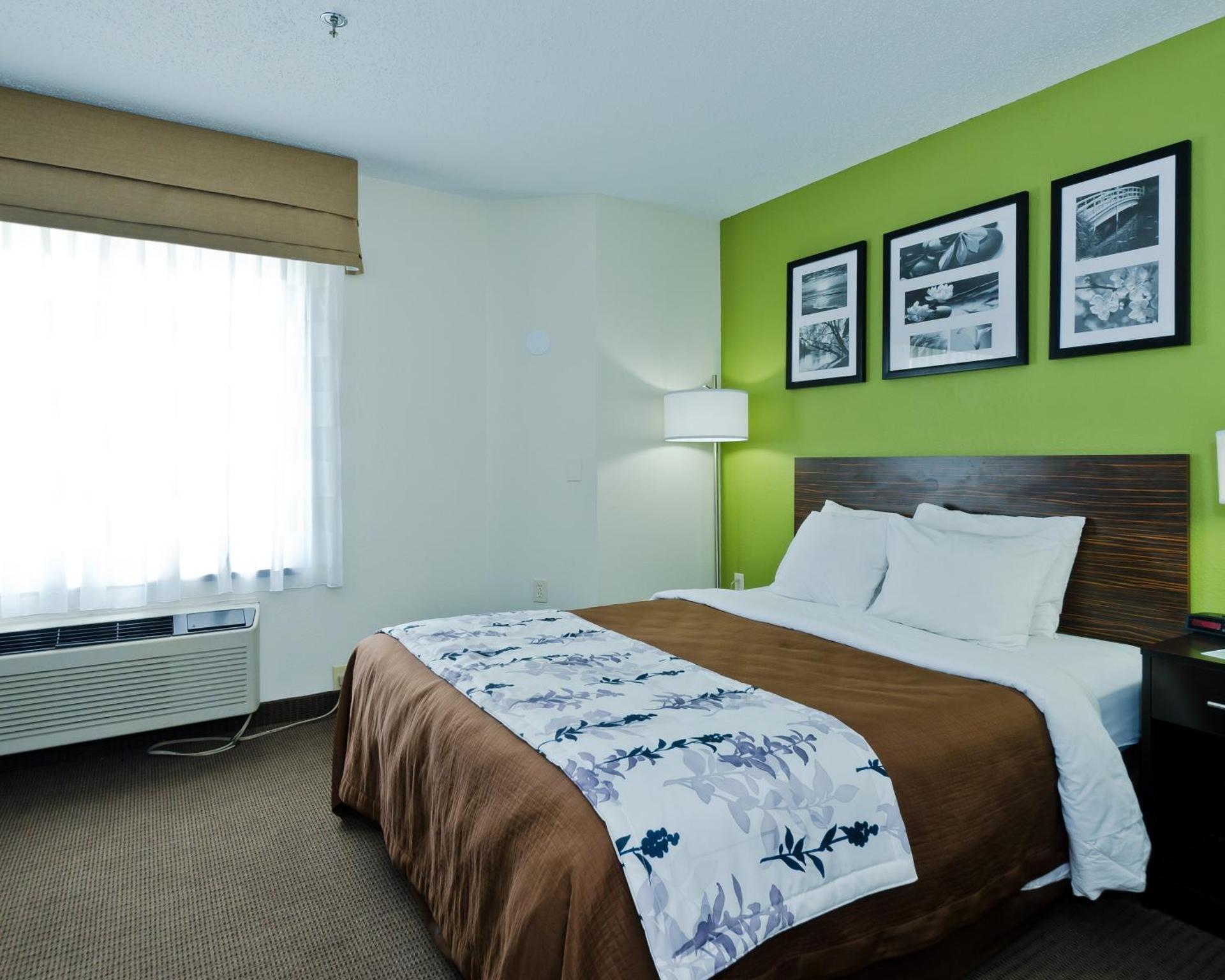 King Room - Non-Smoking