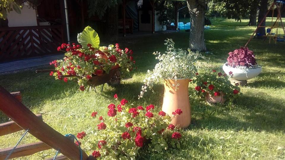 Jakuzzis,Szaunás,Kerkavendégház-Őrség-Csesztreg-Kerkaujfalu