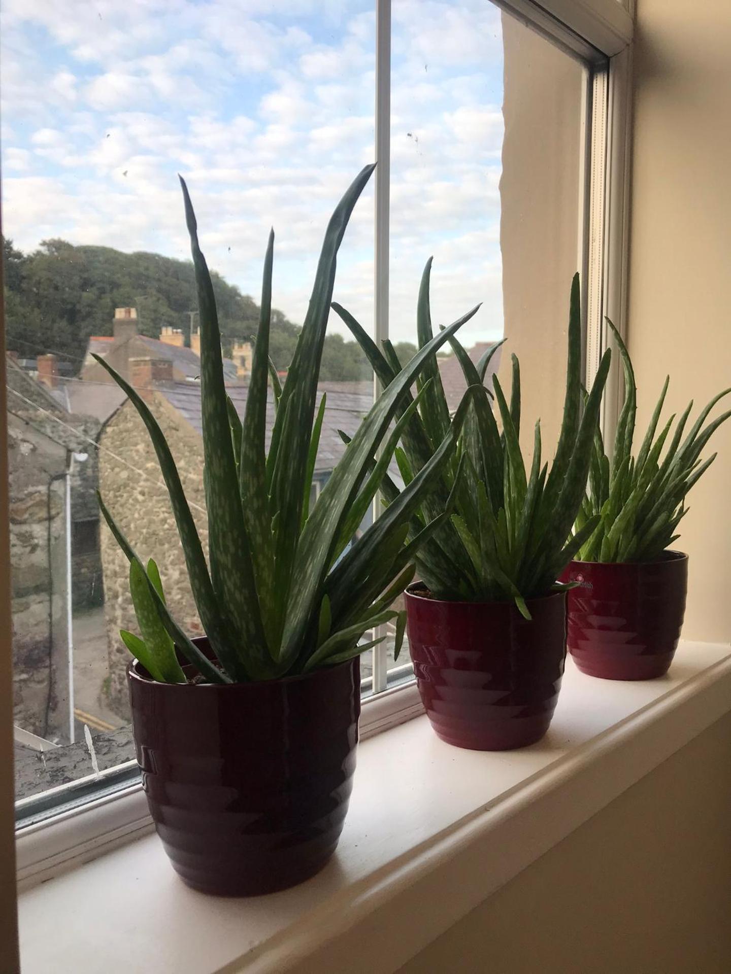 Rooms at Martha Jones