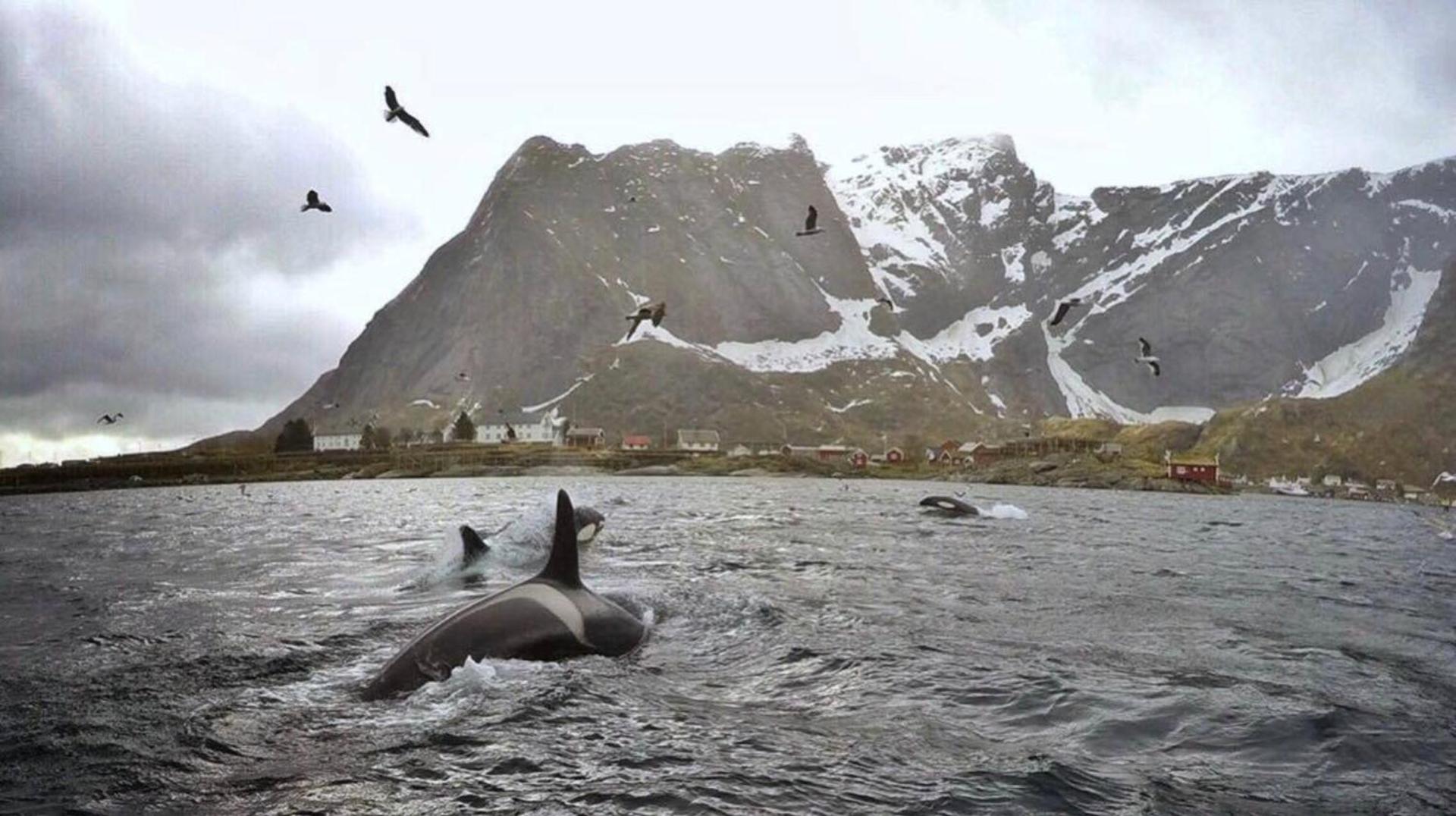 Catogården - Boutique Home & Activity Centre