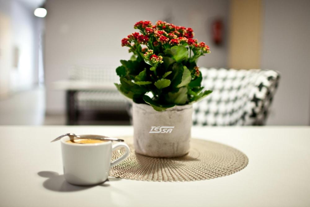 Pokoje Gościnne Tessa