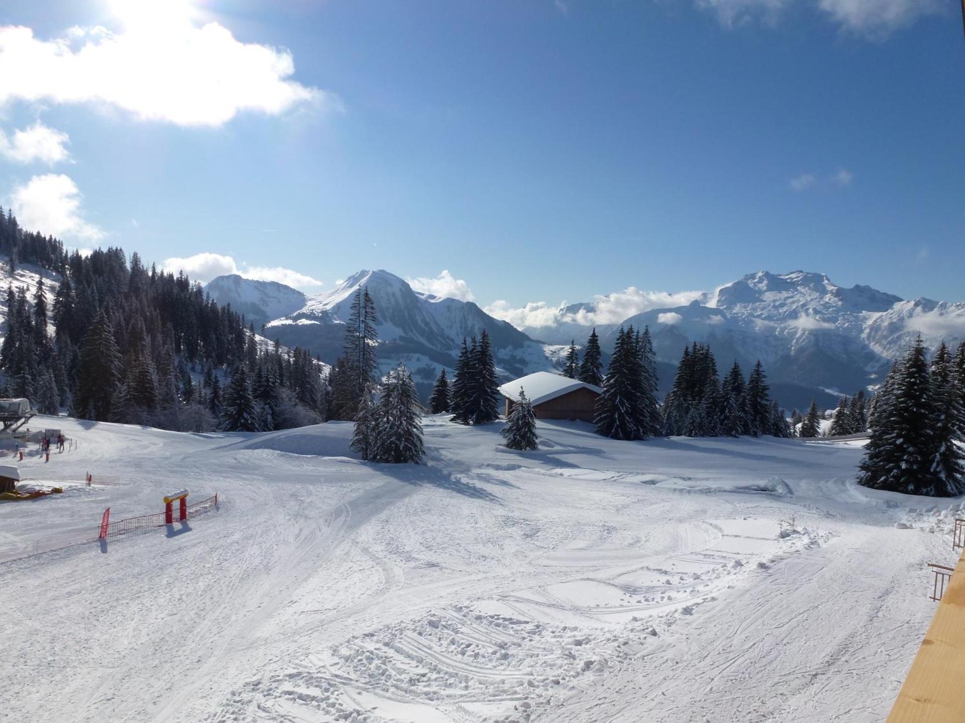 View (from property/room)