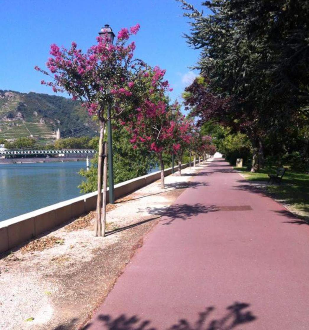 La Bâtie - Terrasse avec Vue imprenable sur le Rhône, 3 chambres, 3 salles de bain