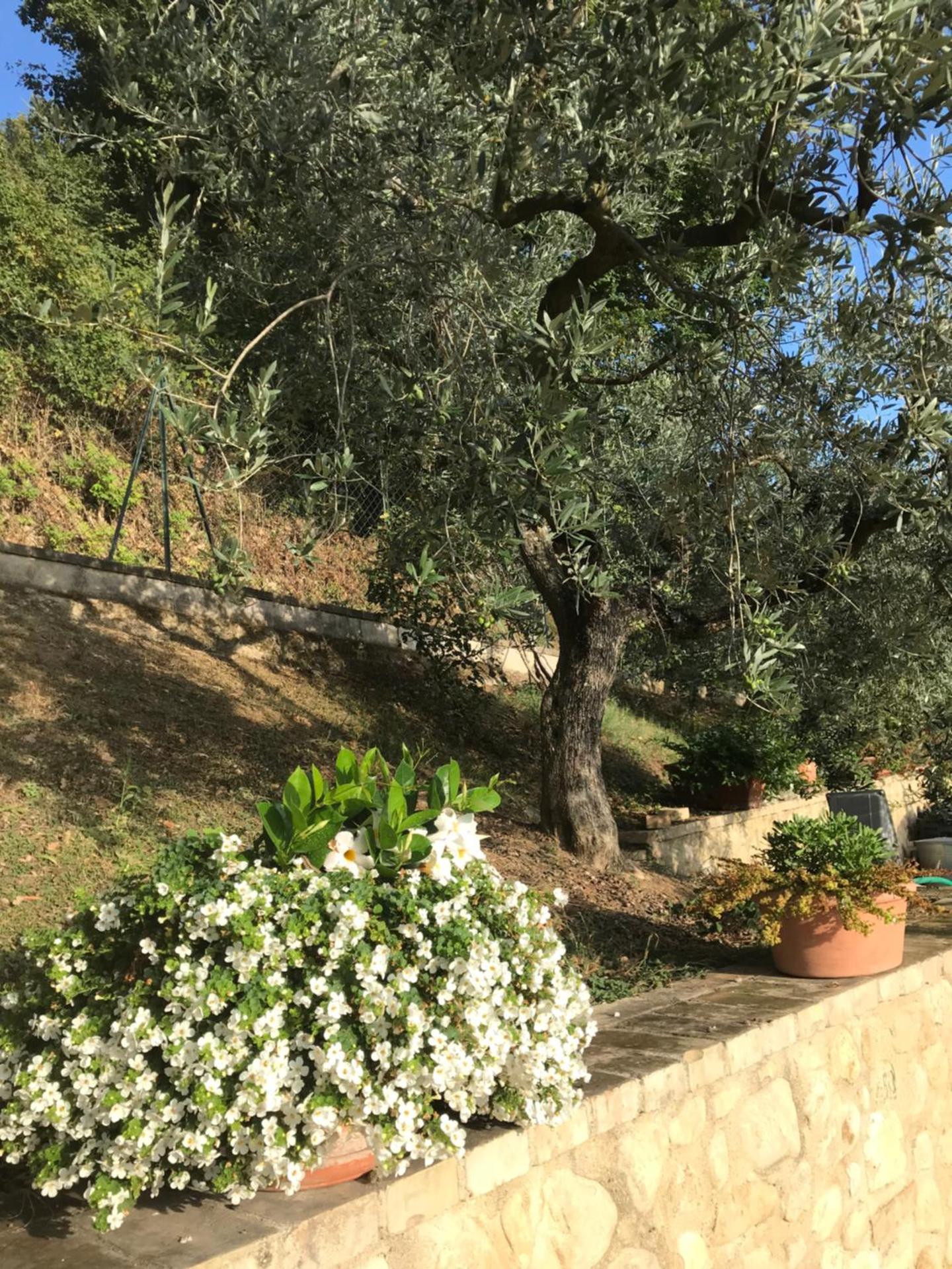 Casa Vacanze Vecciano