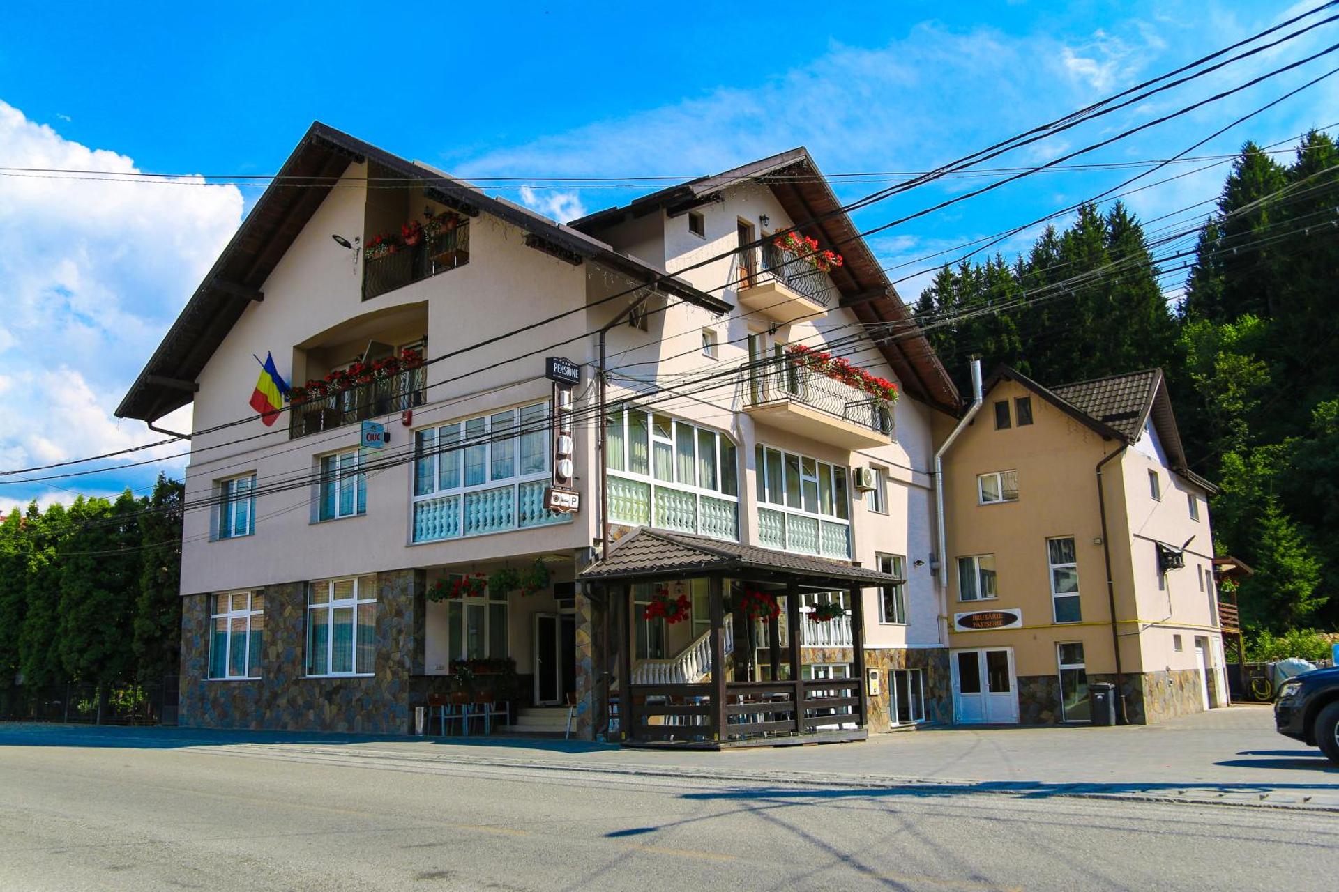 Pensiunea Lido Moisei