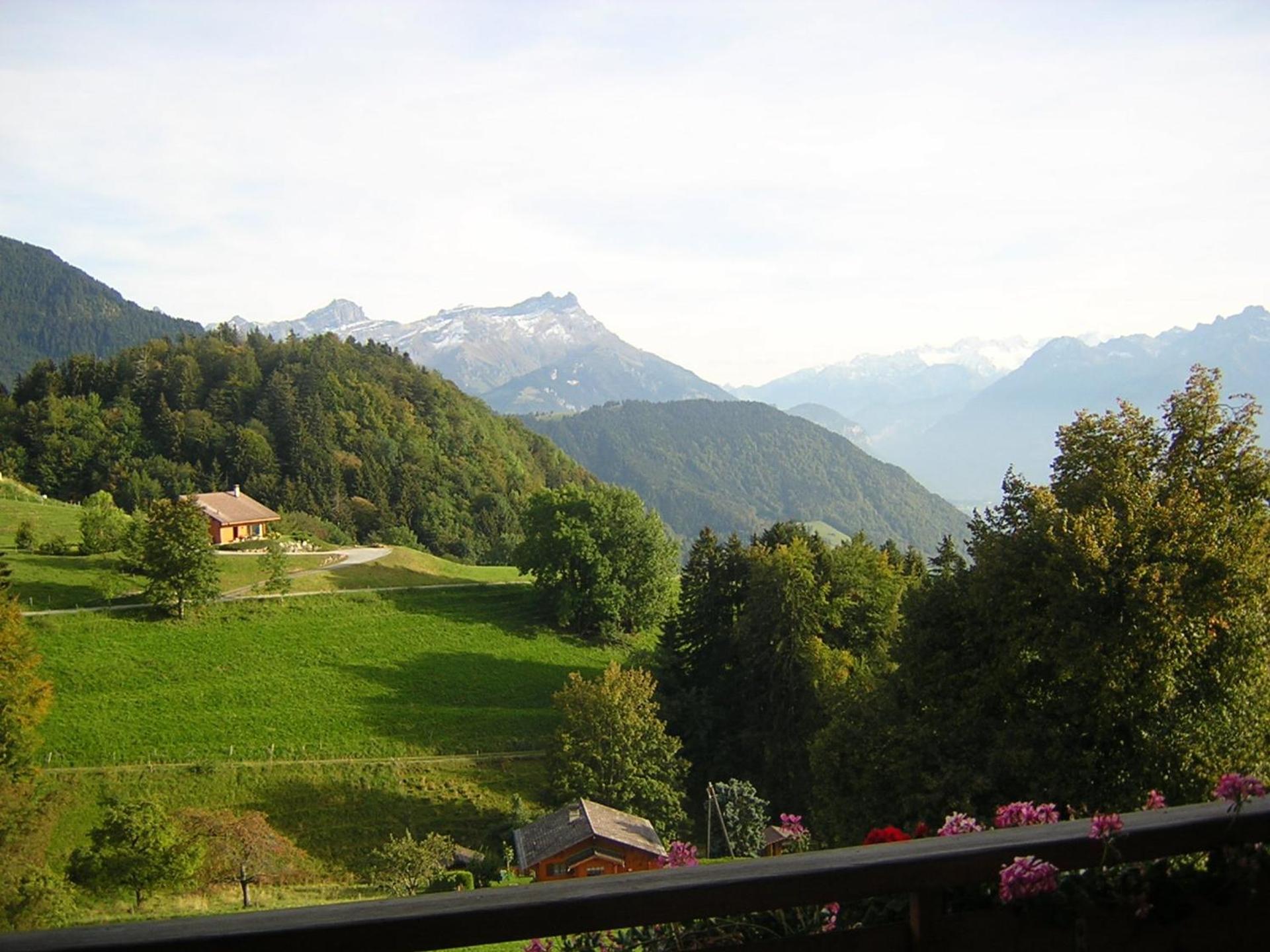 View (from property/room)