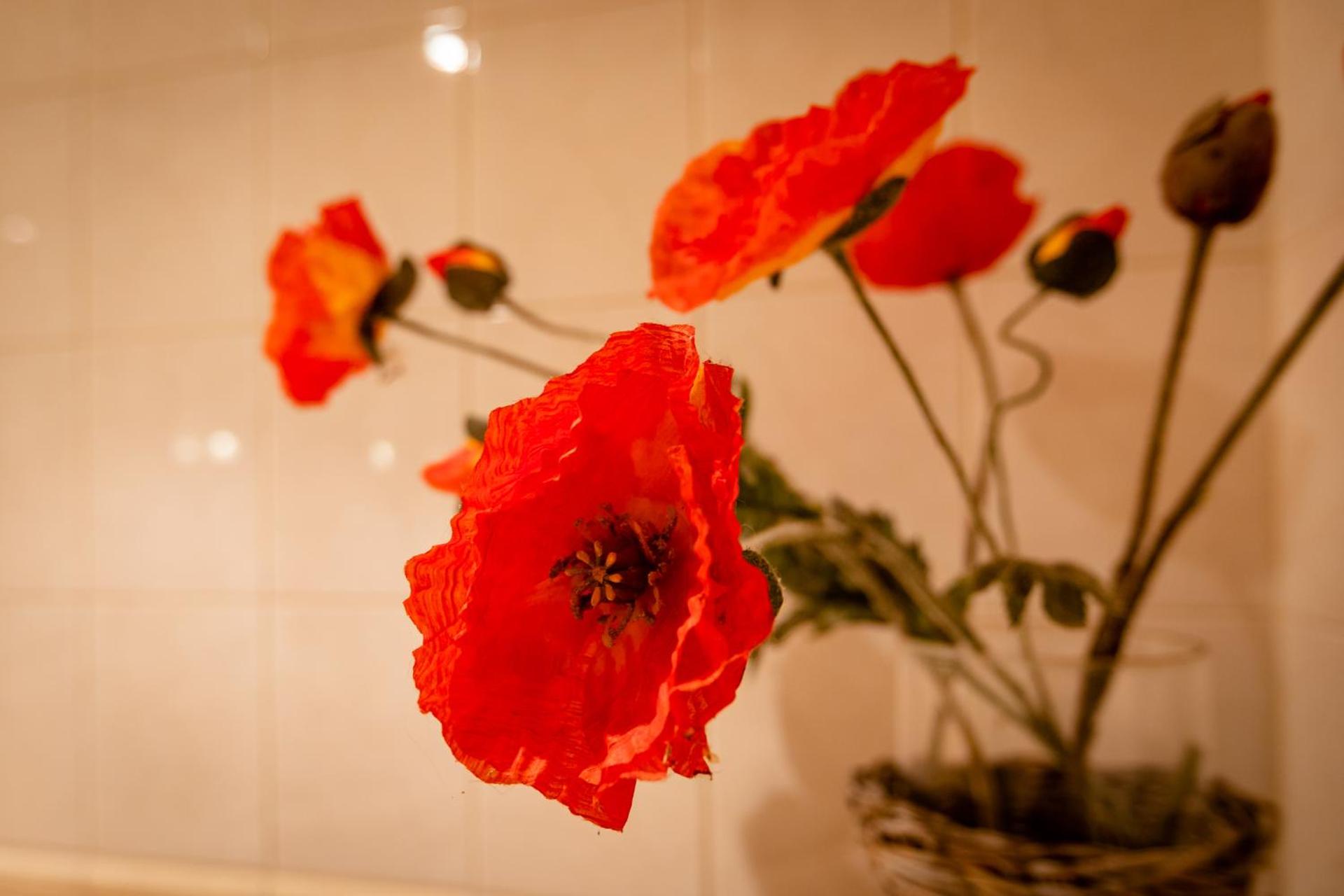 Beck's Bed and Breakfast