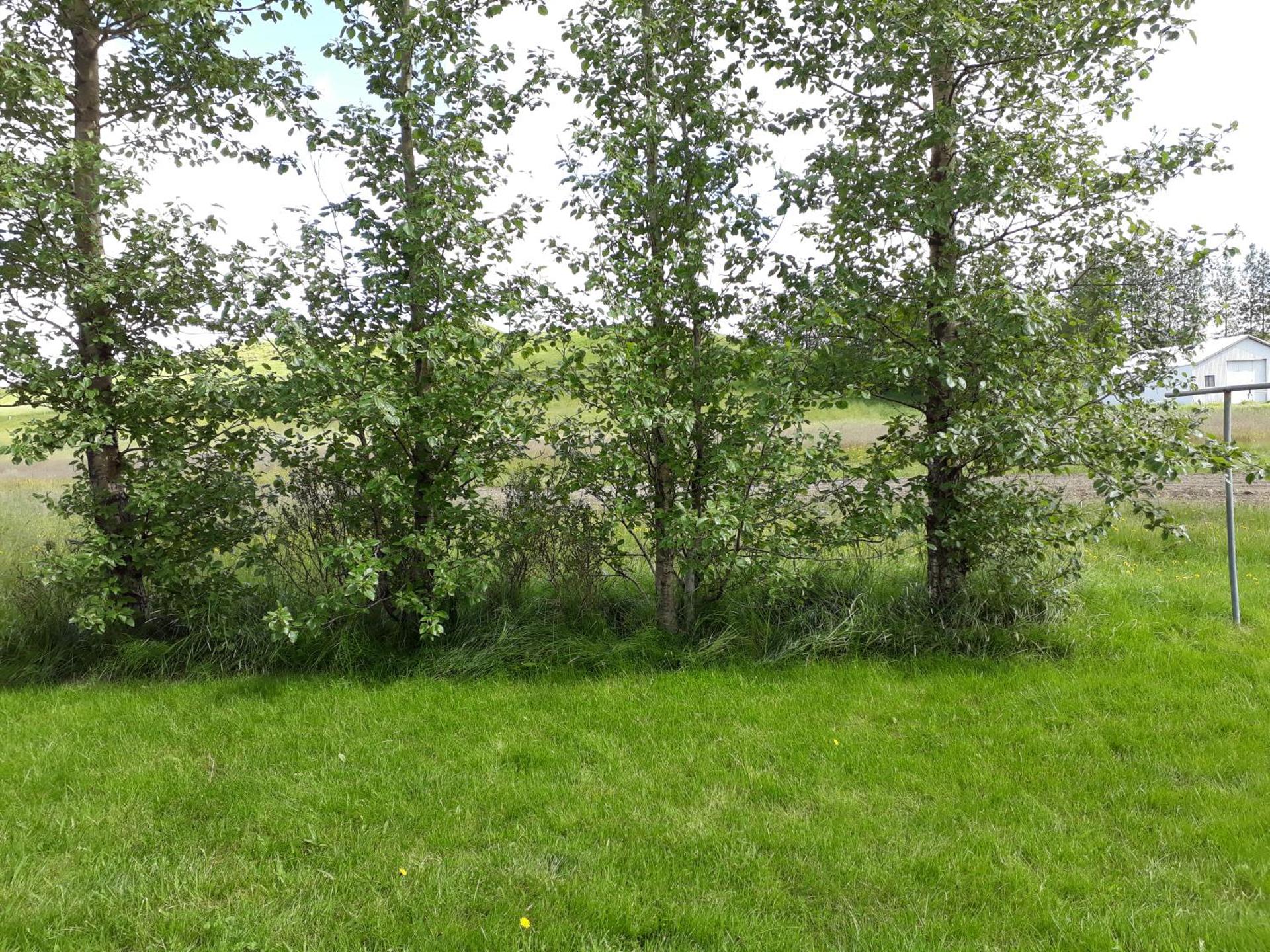 Skyggnir Bed and Breakfast