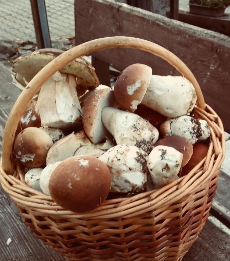 Apt.Jana ,apt.Terezka