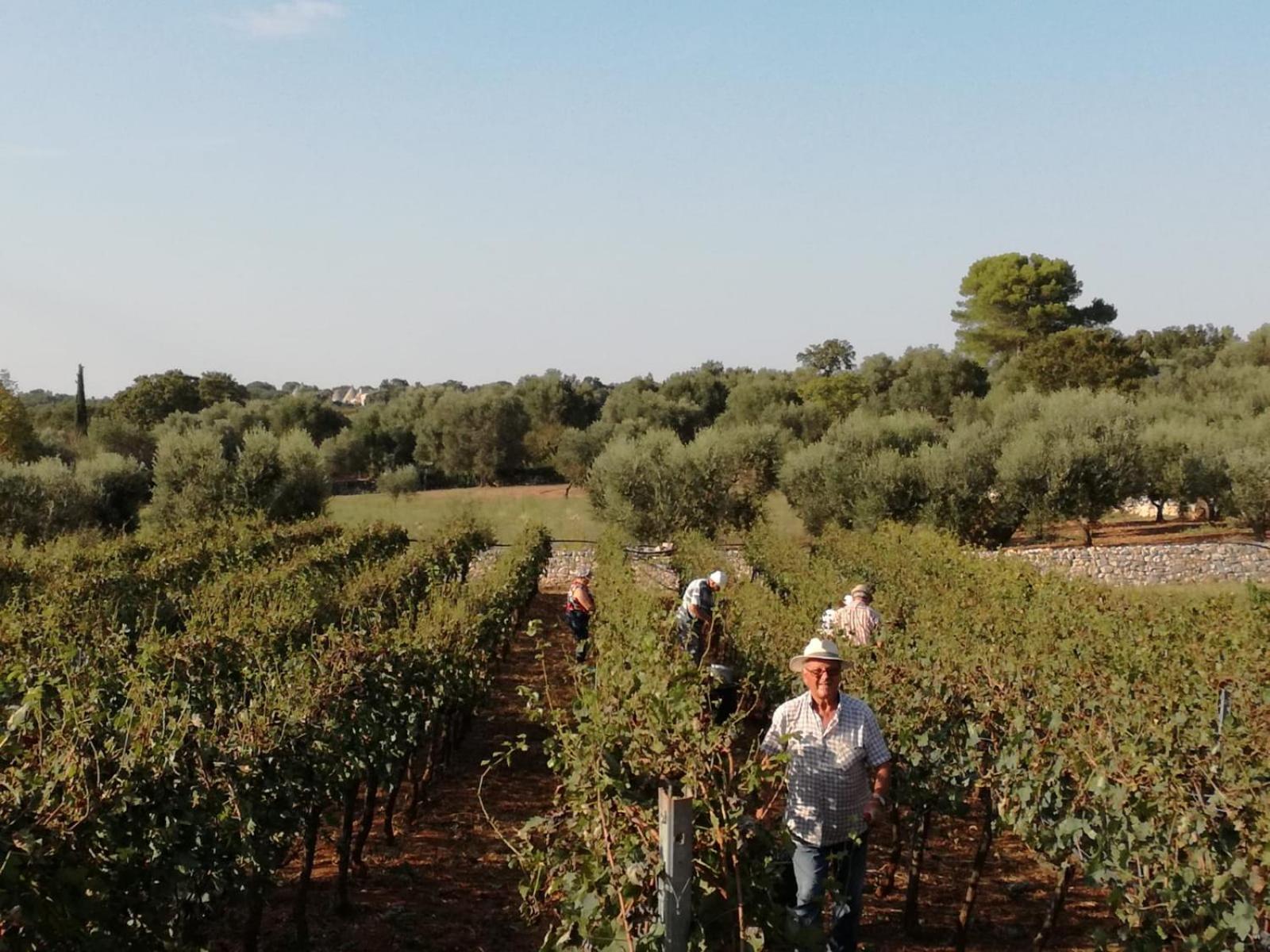 Agriturismo Grotta Di Figazzano