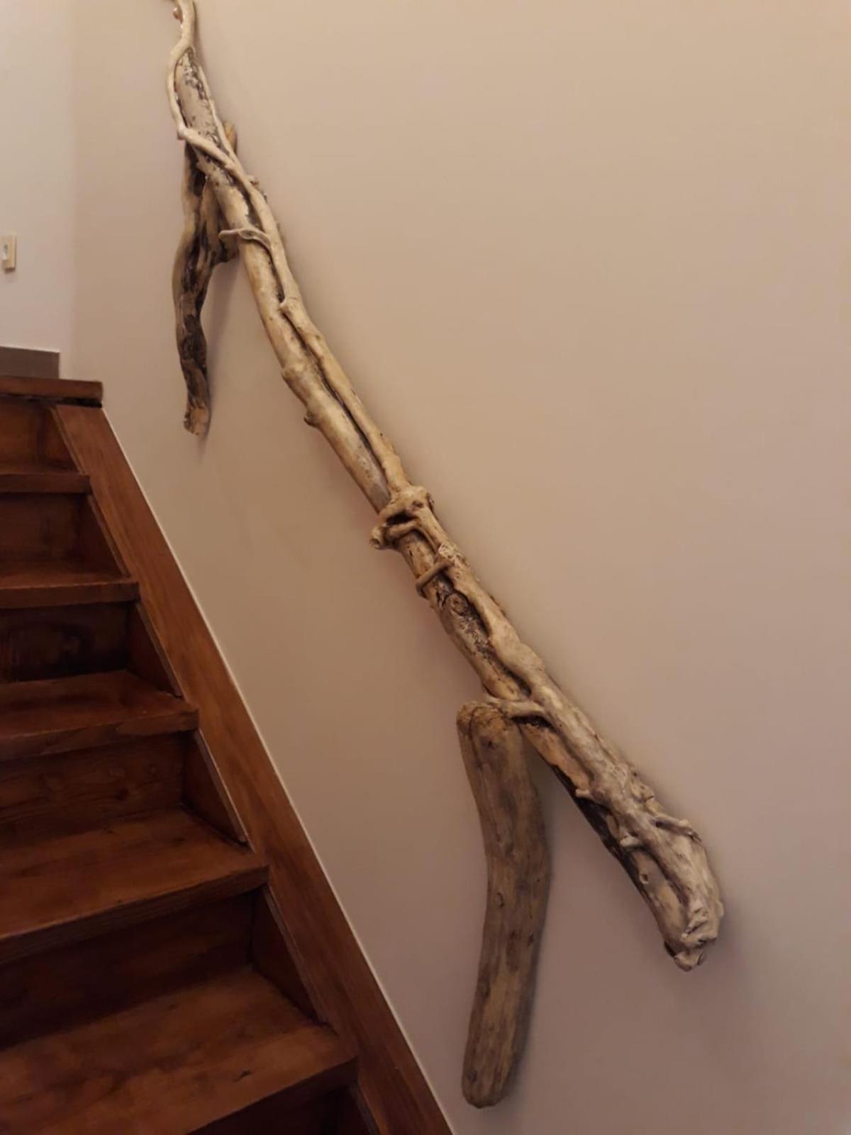 Las Cavernas Del Bisonte