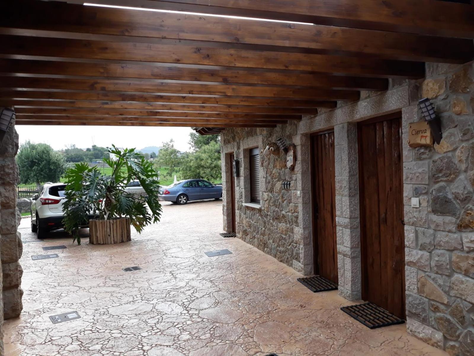 Las Cavernas Del Bisonte