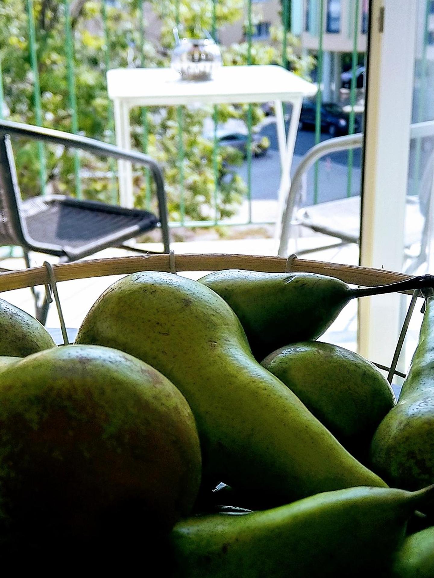 Apartment Archa Poděbrady