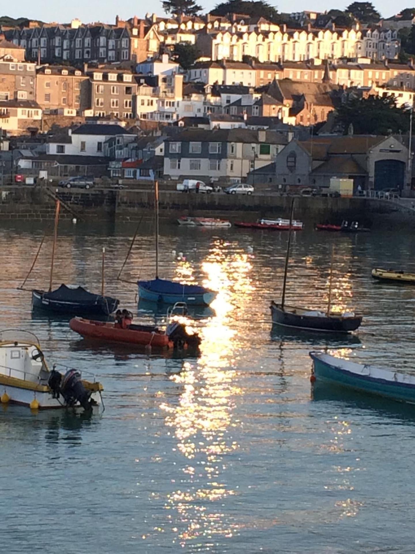 The garden apartment