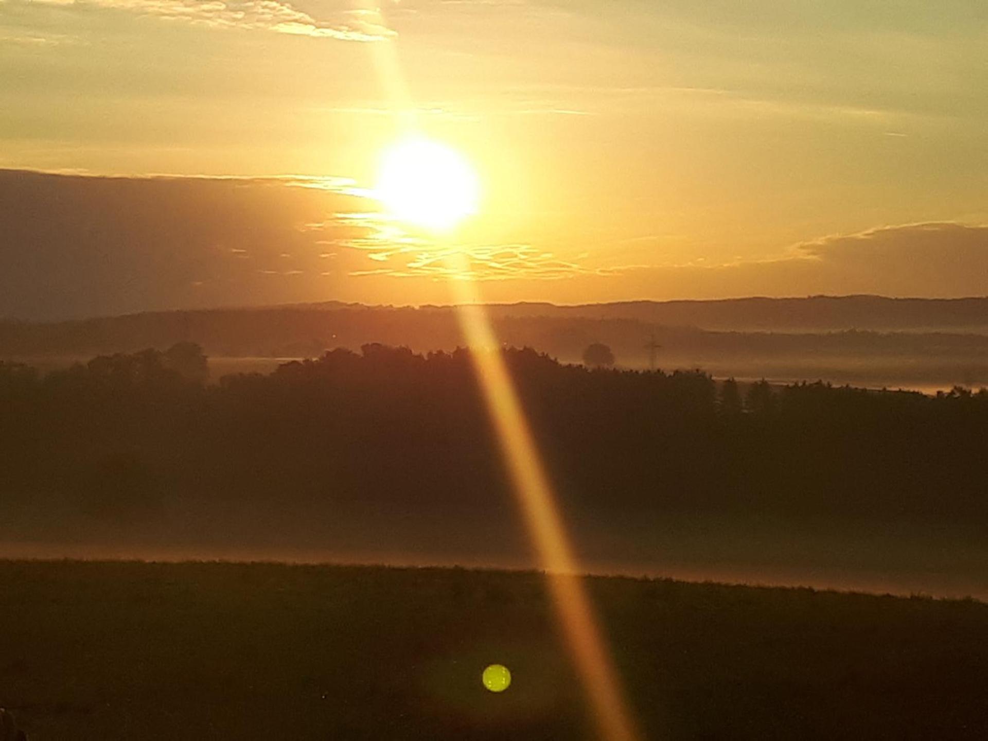 Bio Kinder Erlebnis Bauernhof Voit