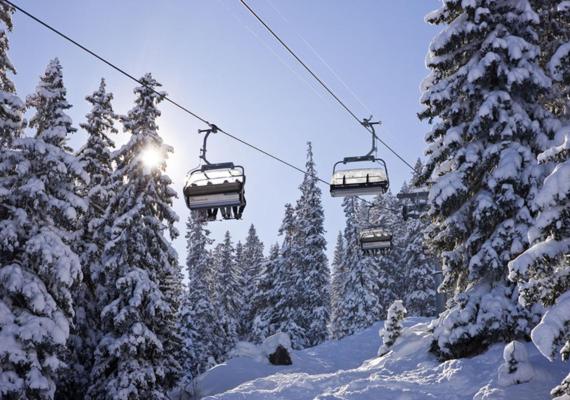 Family Mountain View - Upper Alley