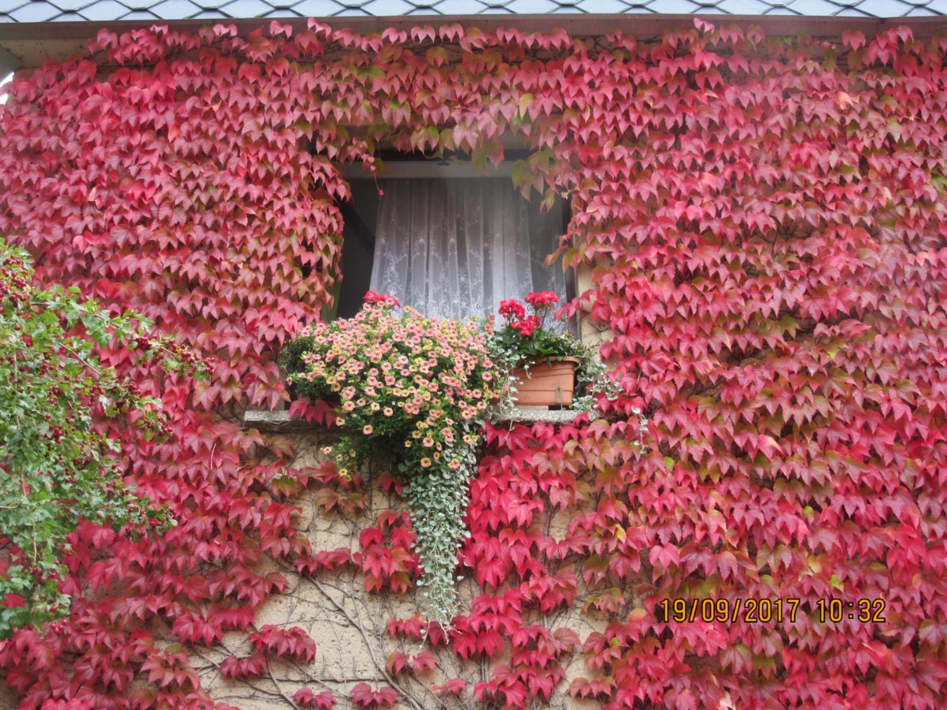 Stadtzentrum , nähe Schloss