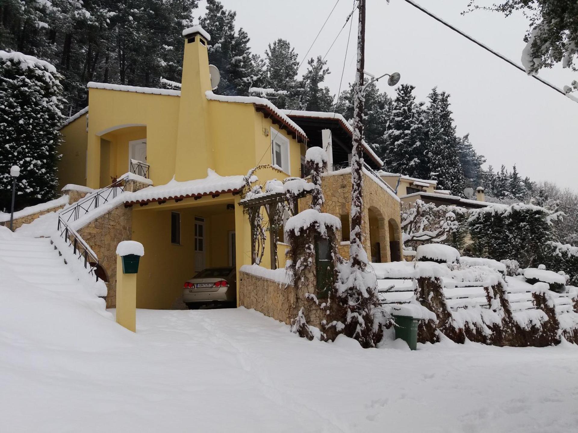 Six Steps From The Forest