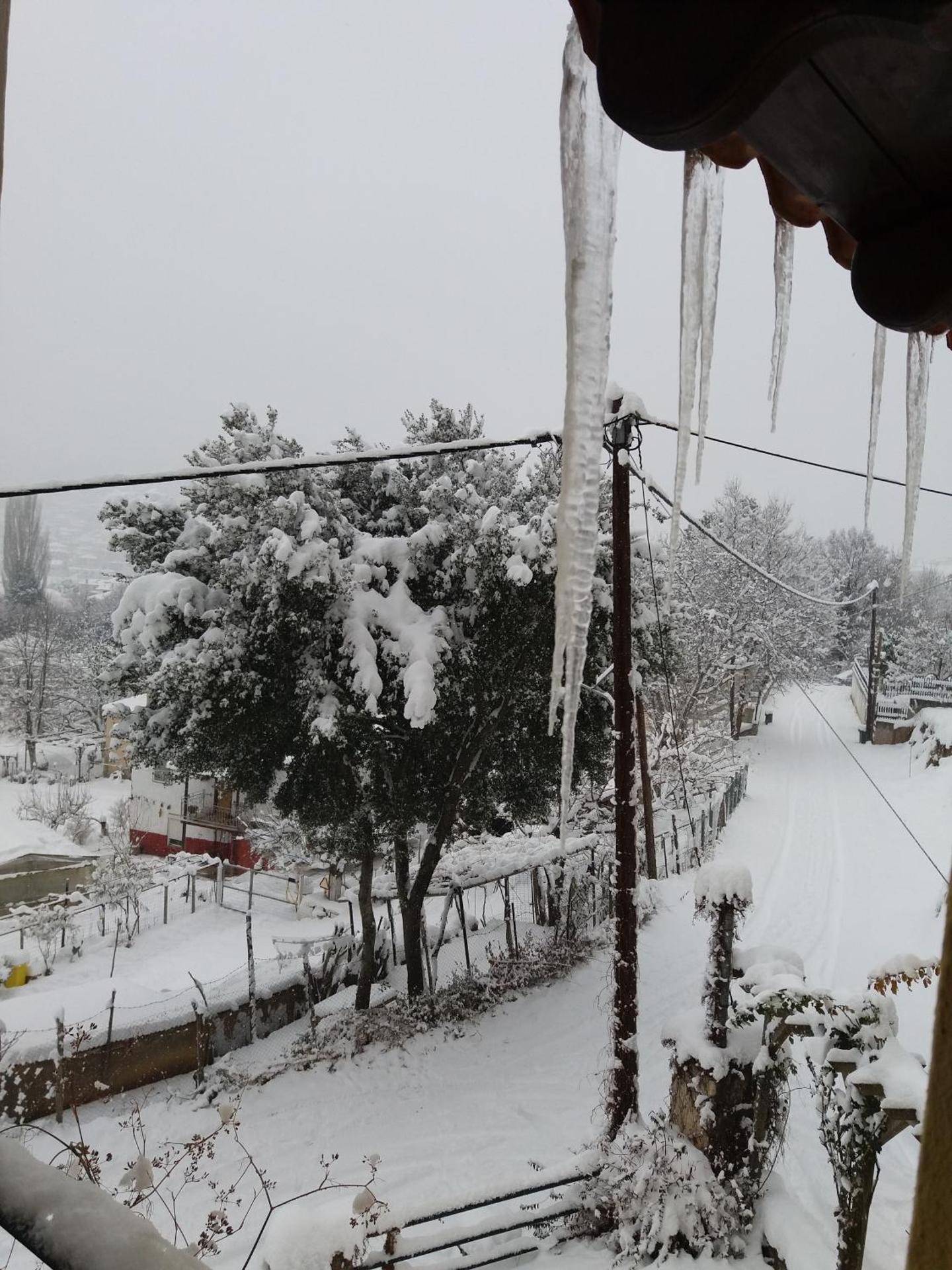 Six Steps From The Forest