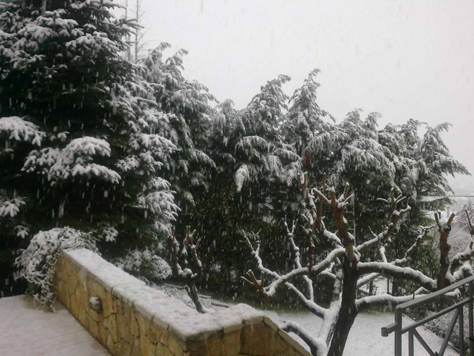 Six Steps From The Forest