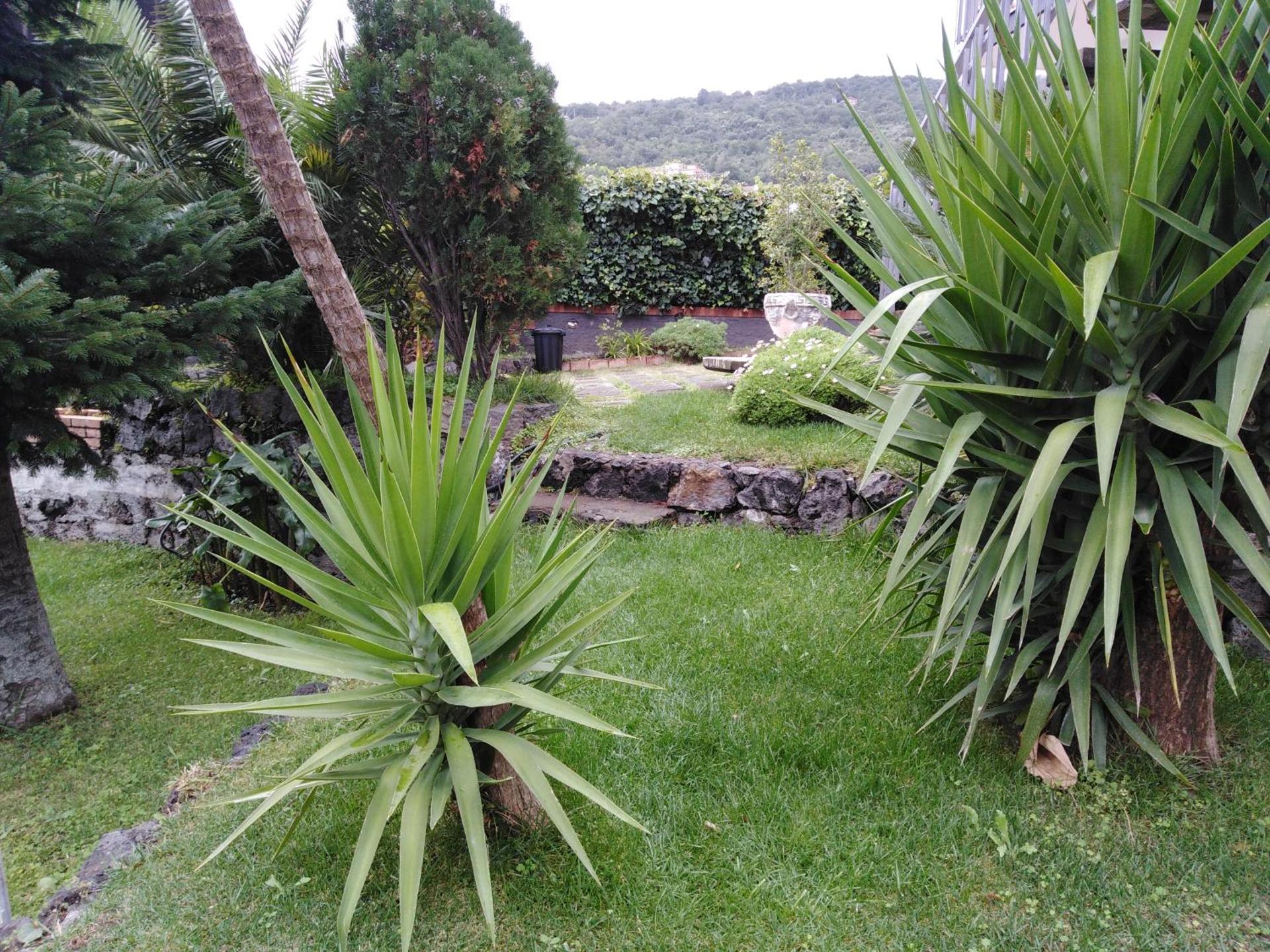 Villa Royal Etna Stars