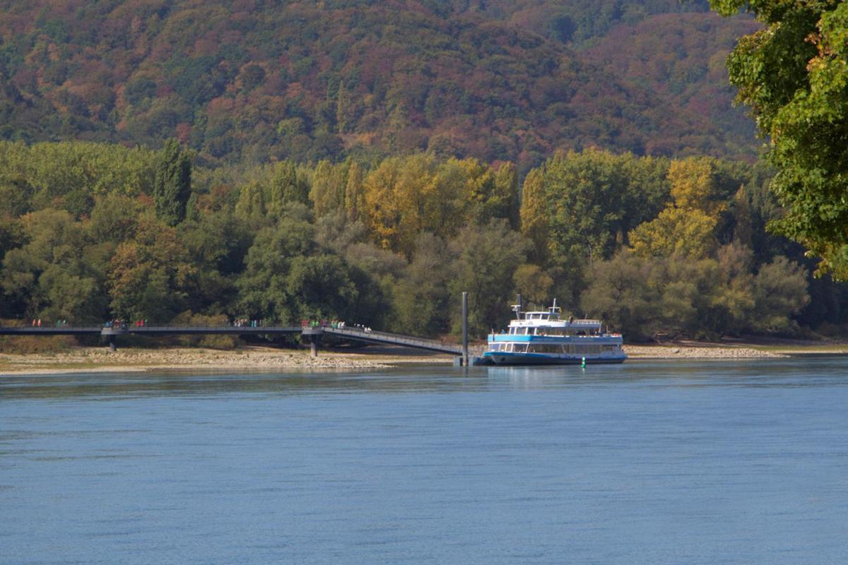 Ferienhaus an der Burg Namedy