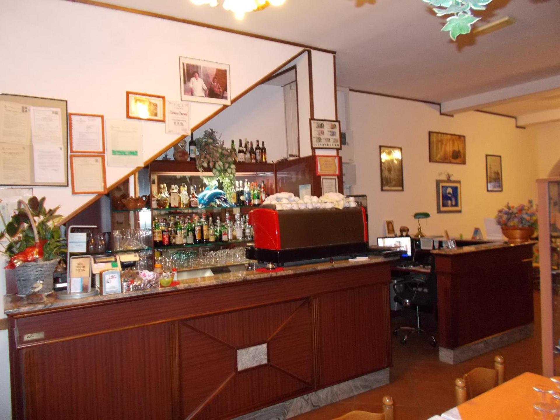 Pensione Delfino Azzurro