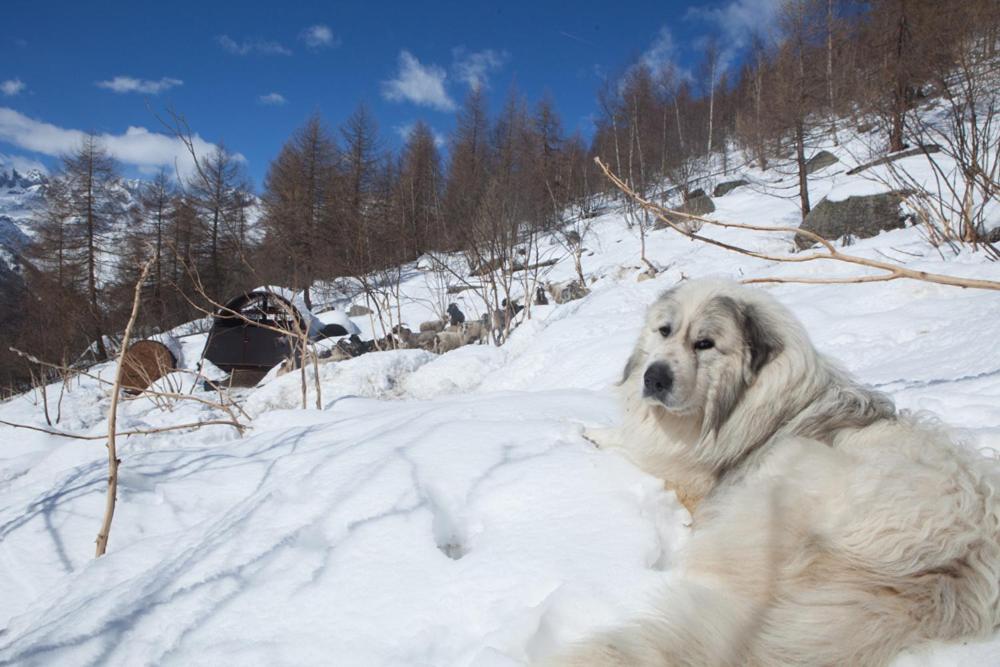 Agriturismo A Nostro Mizoun