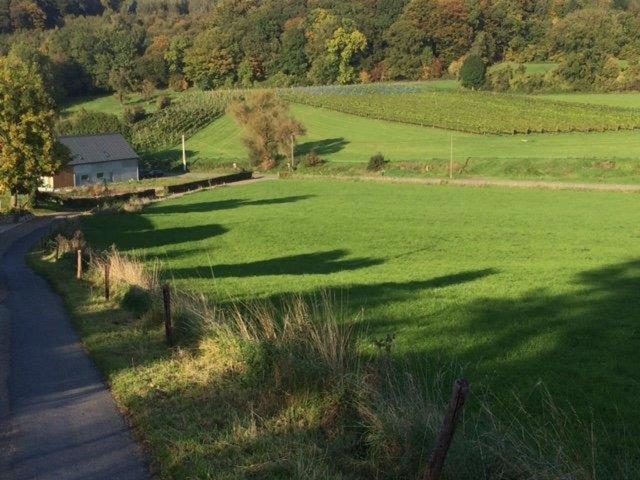 Wijndomein Zwaeneberg