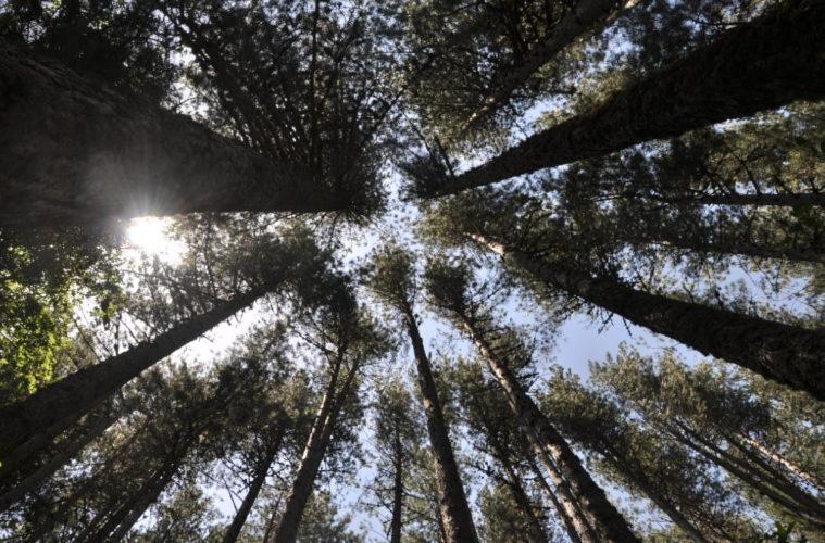 La Casa Di Chiaretta