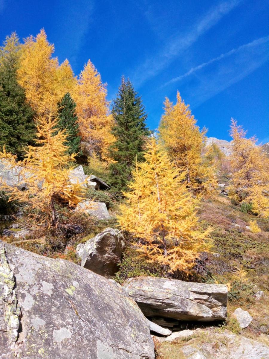 Pension & Appartament Anna