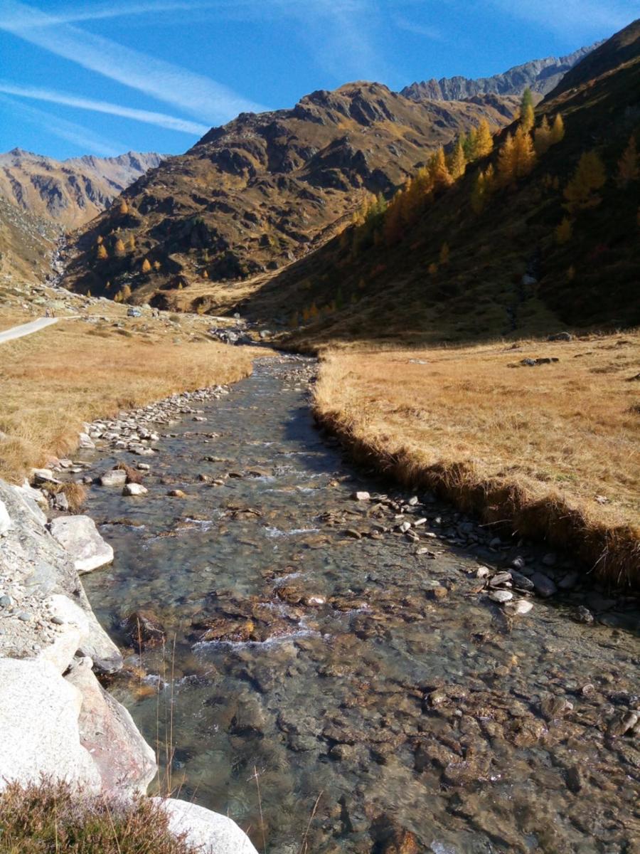 Pension & Appartament Anna