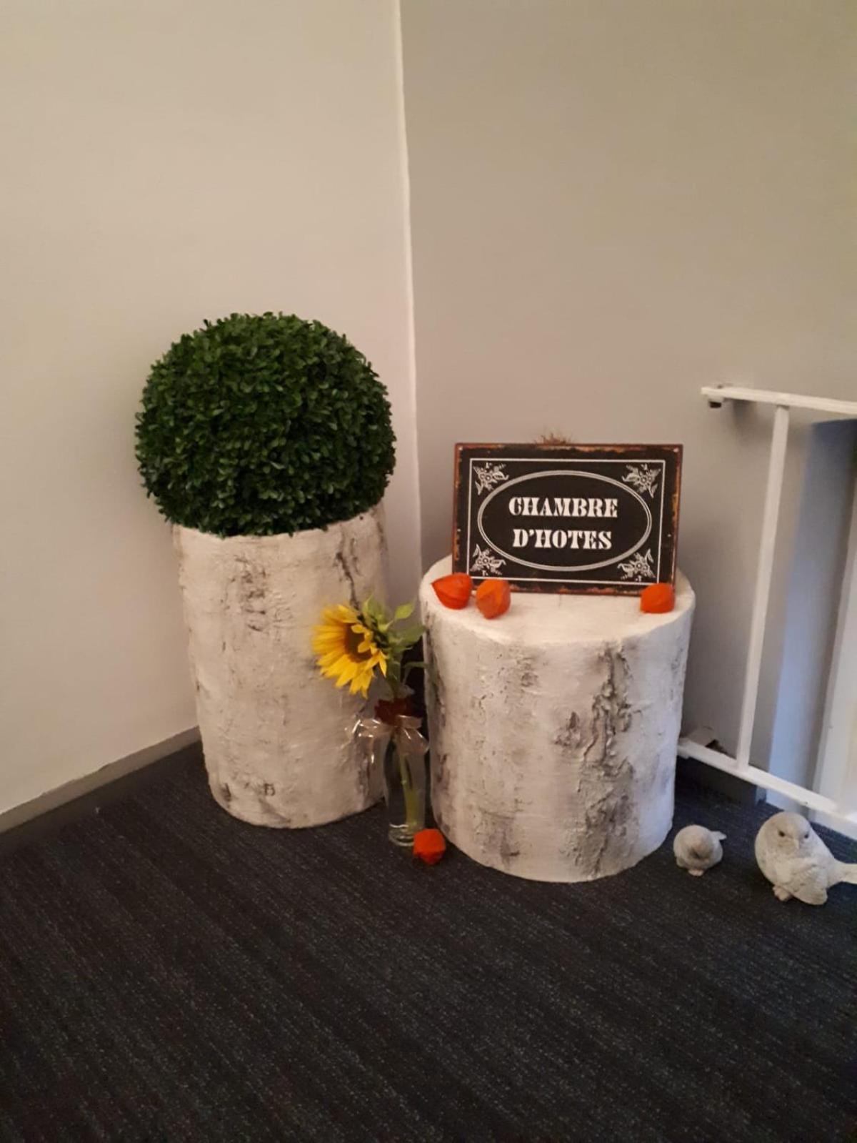 Guest House Dommitzsch