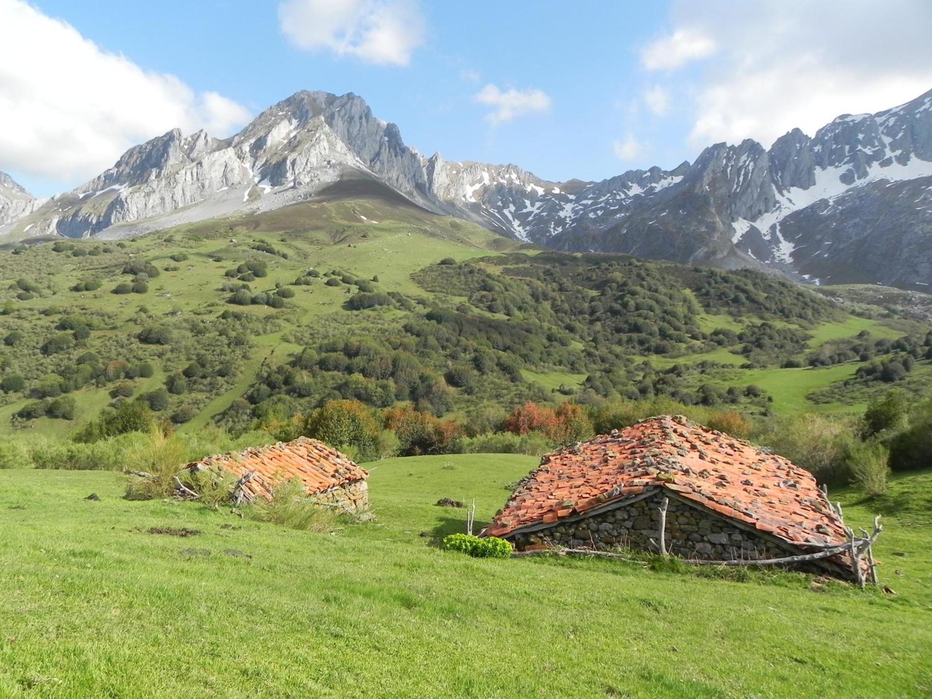 Casas Rurales Prieto