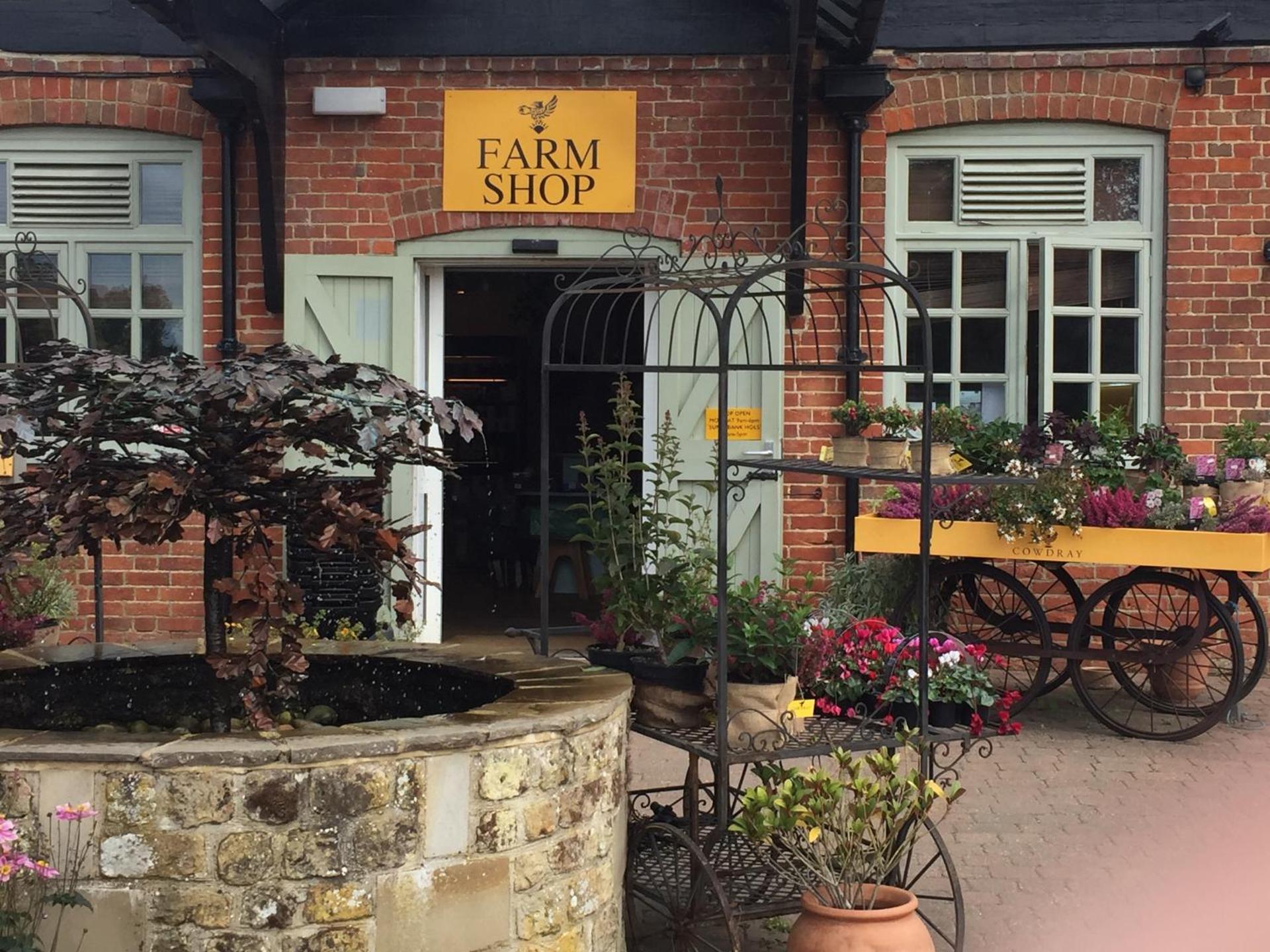 Restaurant/places to eat