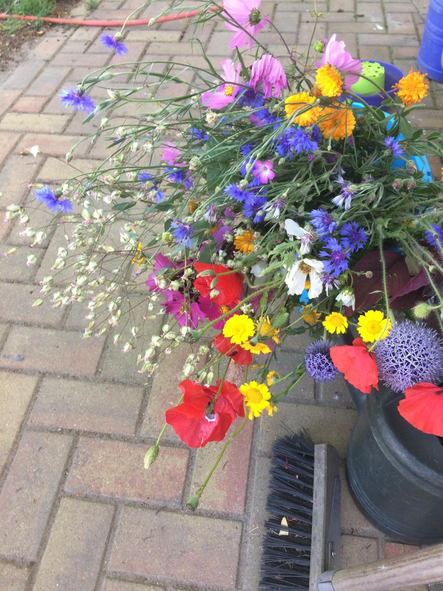 Unique place on the river Waal