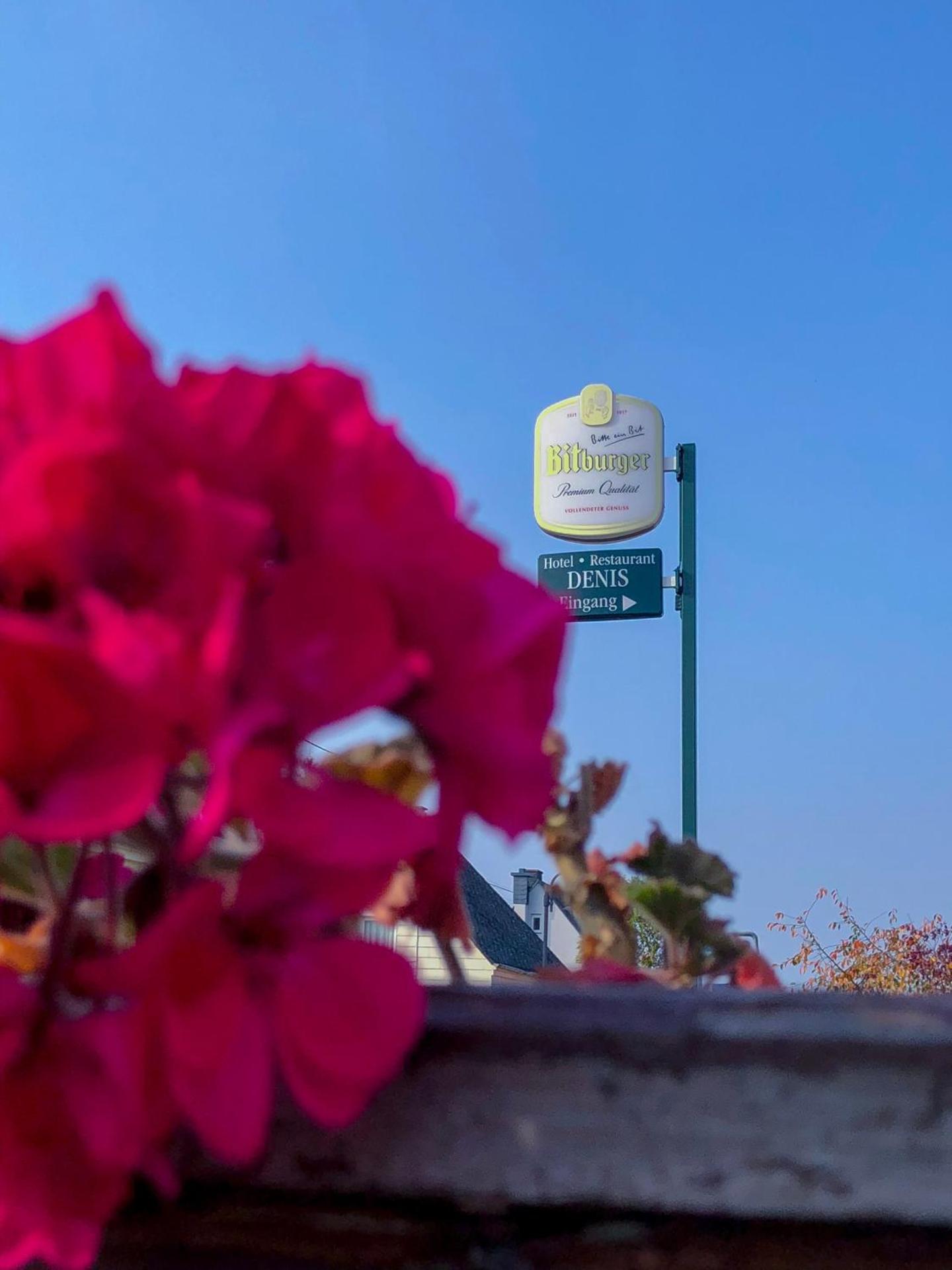 Hotel Restaurant Denis