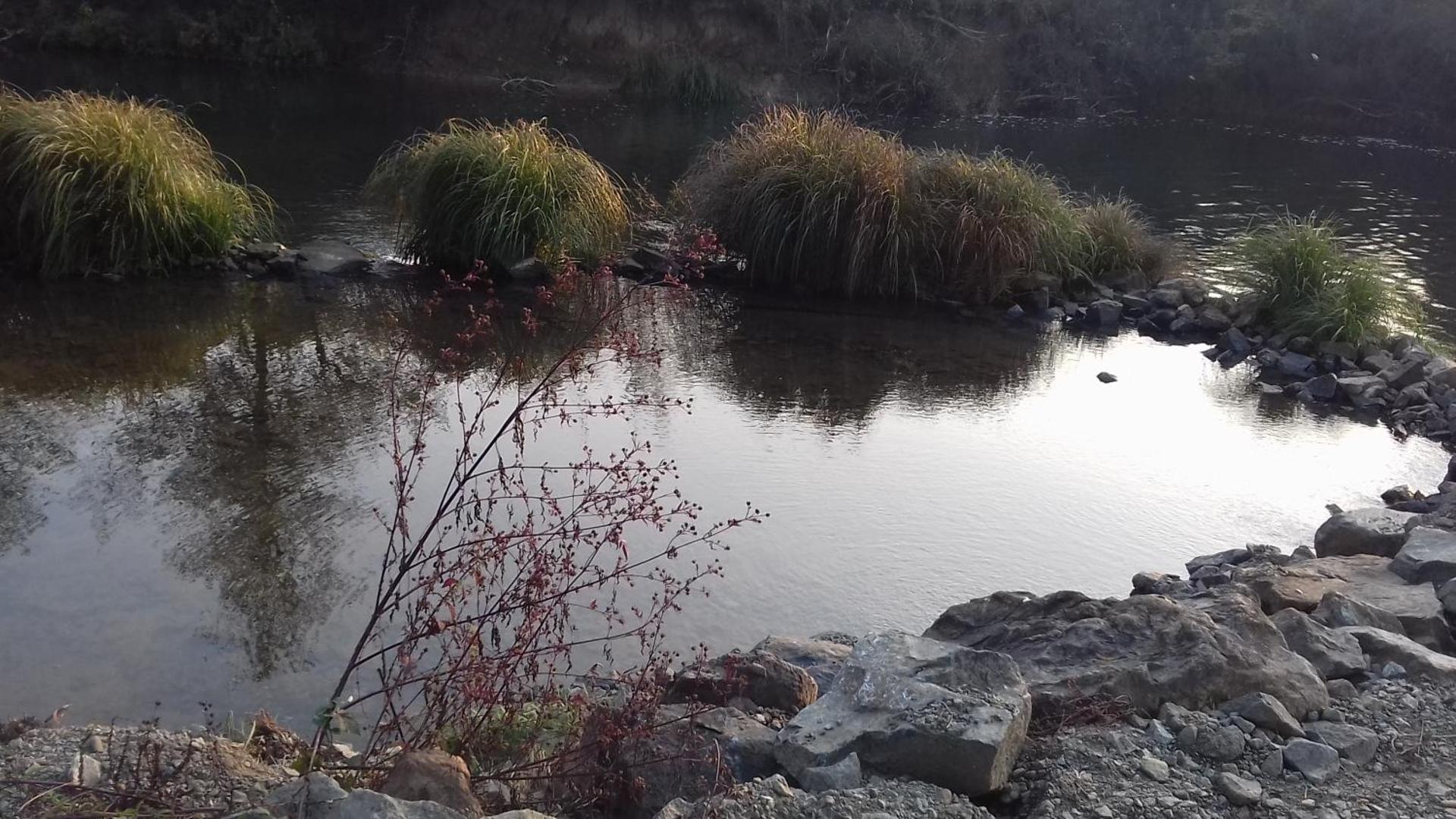 Studio apartman Trdina