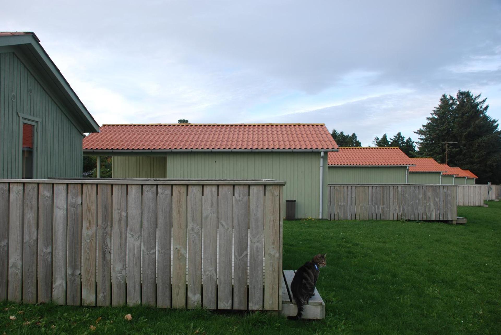 Hytteby – Hanstholm Camping – Thy Feriepark