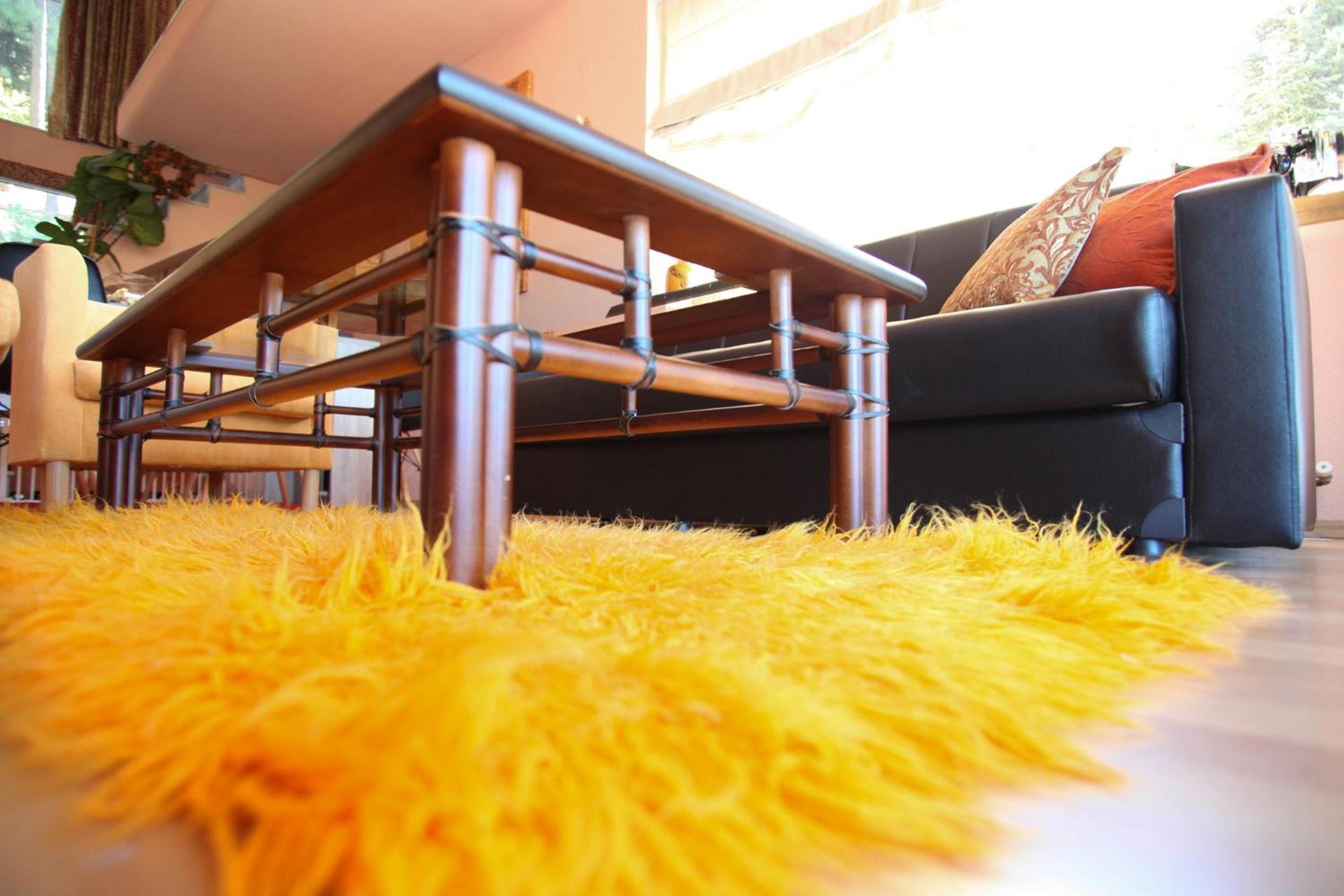 Six Steps From The Forest