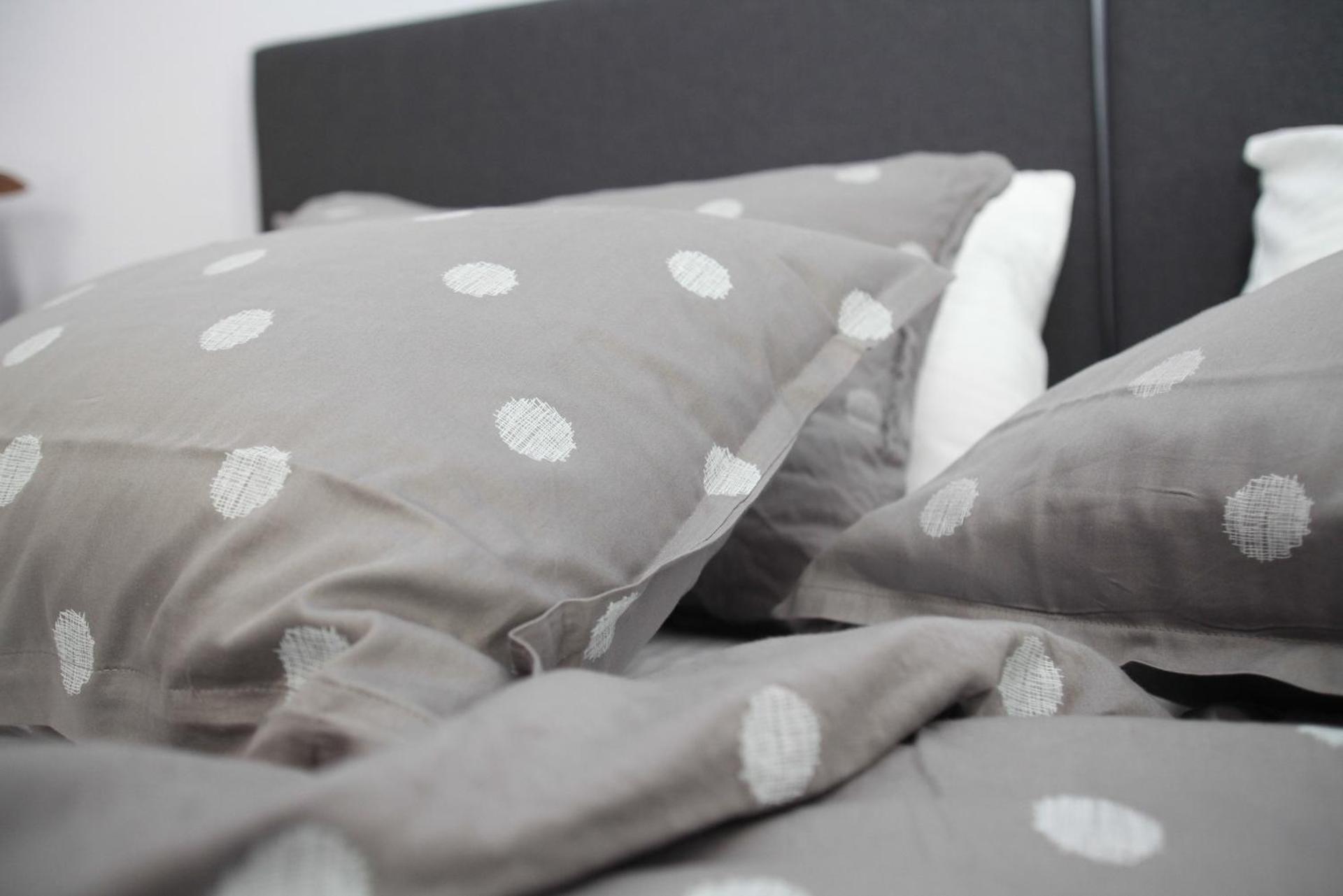 Six Steps From The Forest