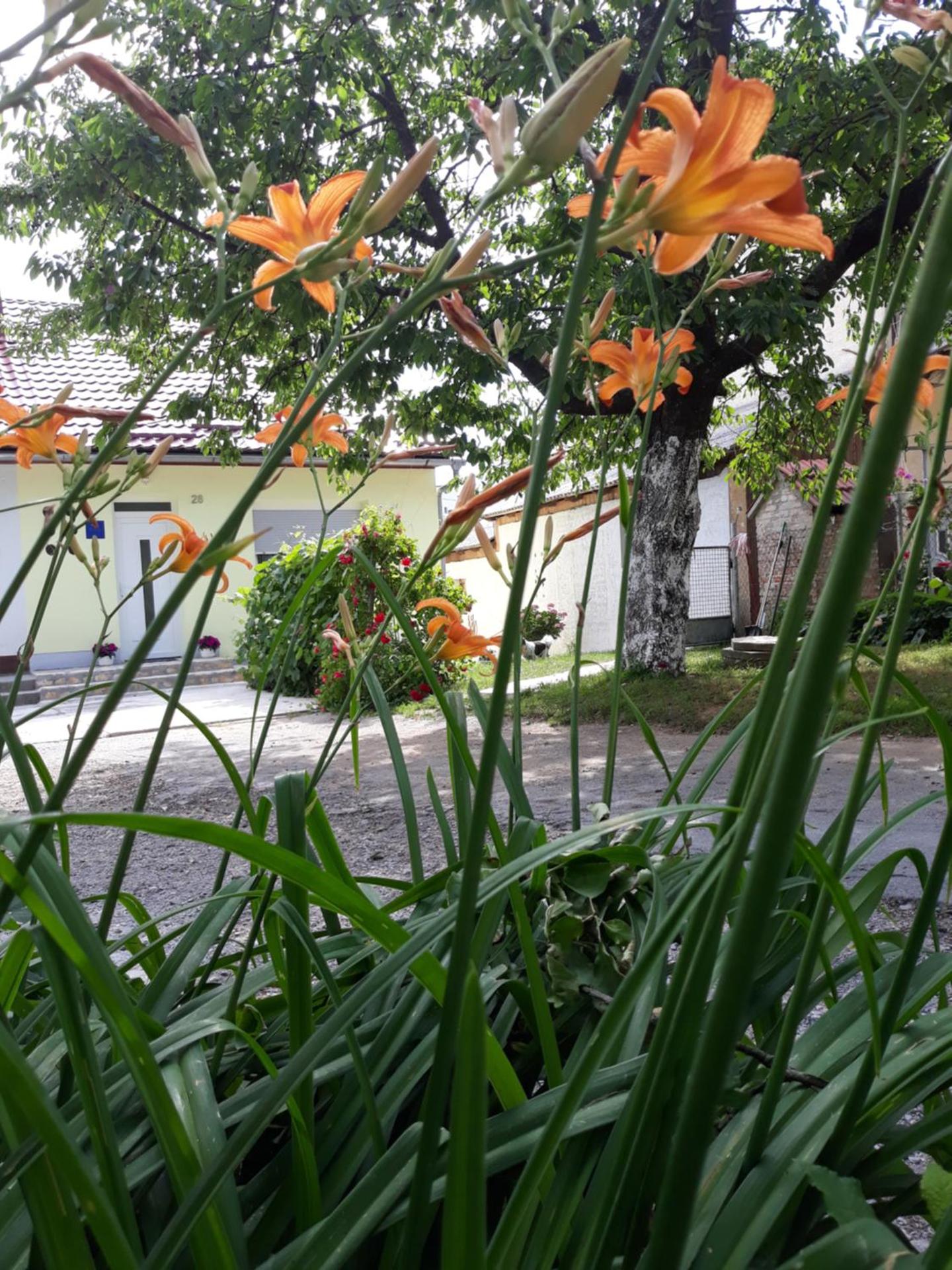 Gospic Riverside Apartment