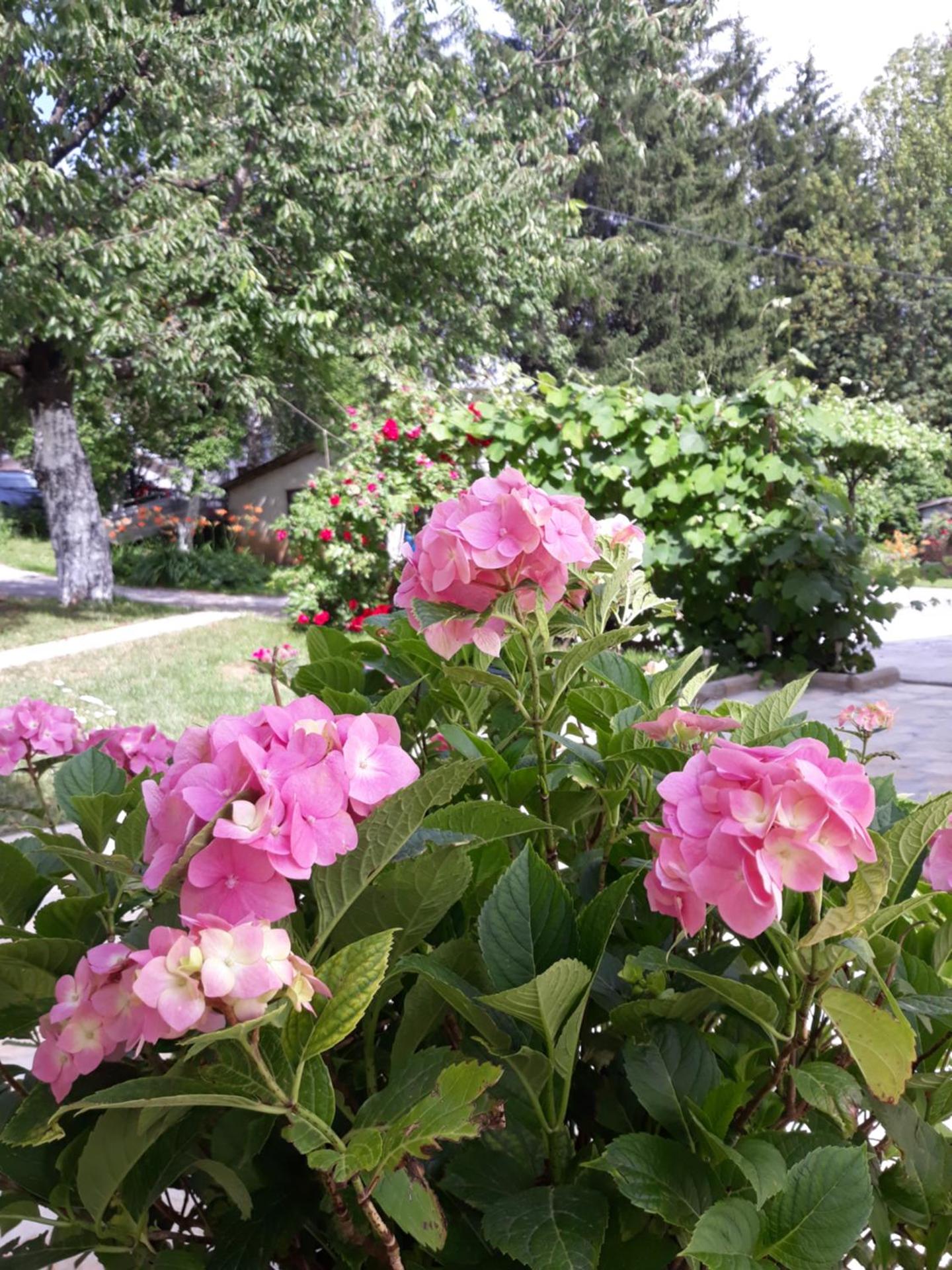 Gospic Riverside Apartment