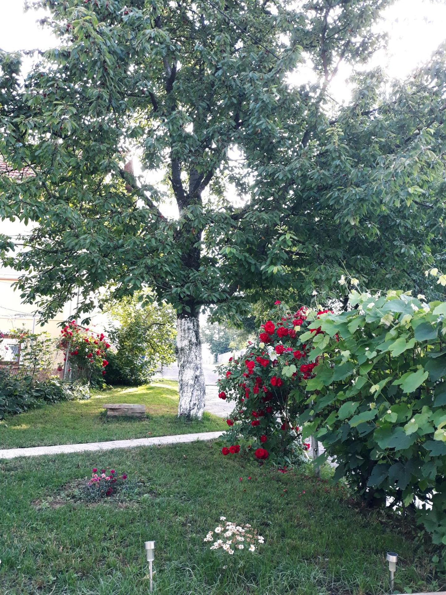 Gospic Riverside Apartment