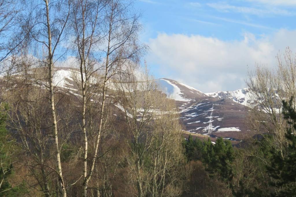 Pine Marten Bar Glenmore Pods