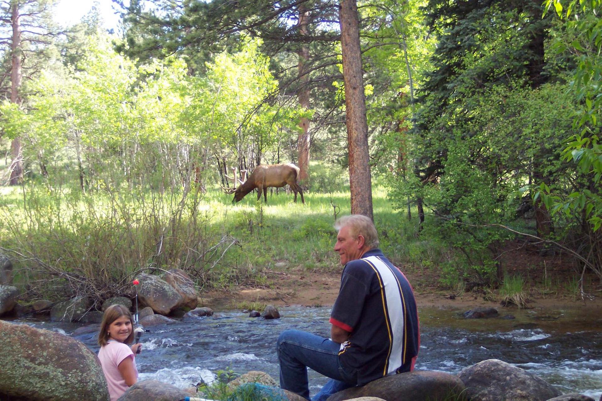 Swiftcurrent Lodge