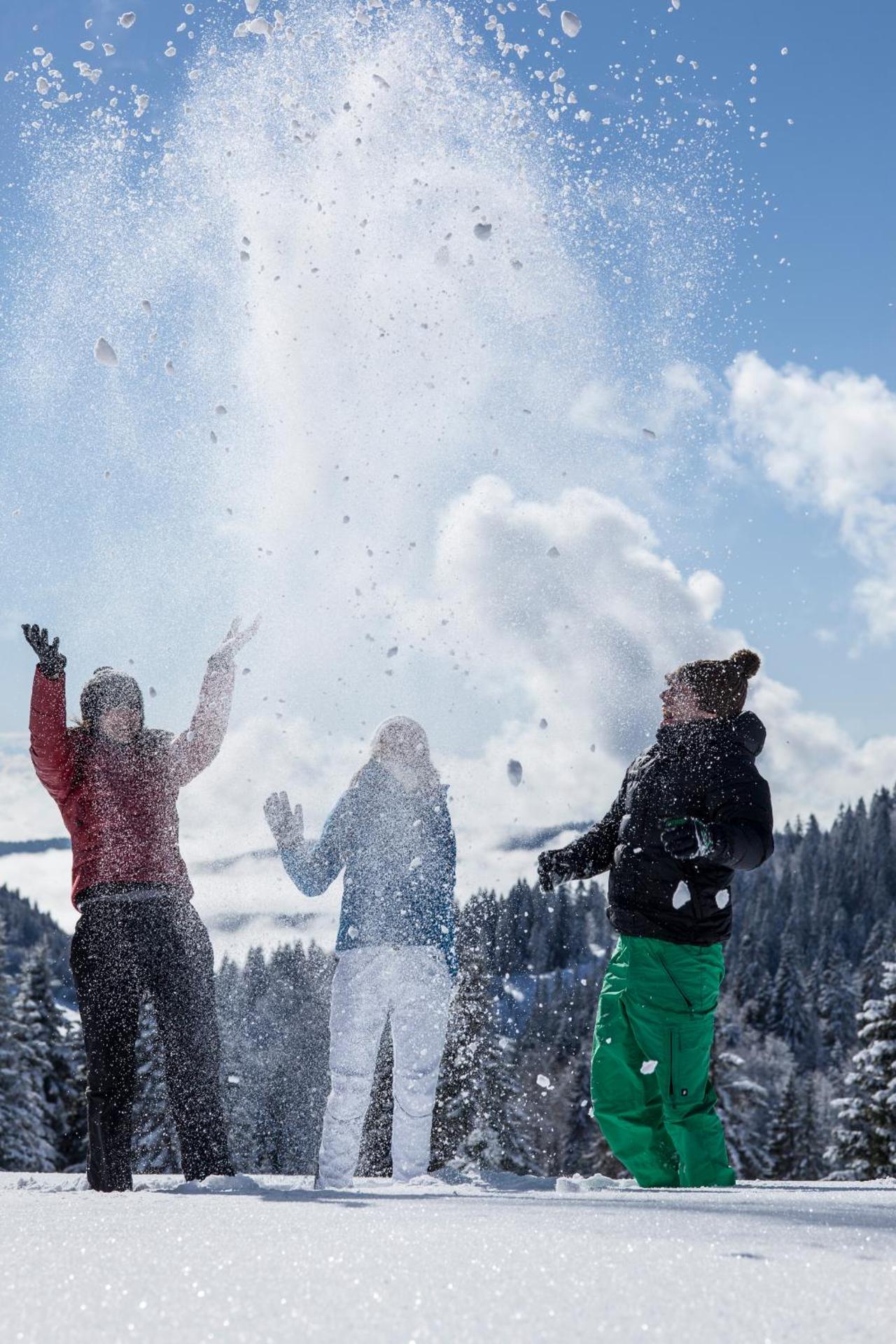 Forsters Schwarzwald Hof - Resort-Hotel&Pension