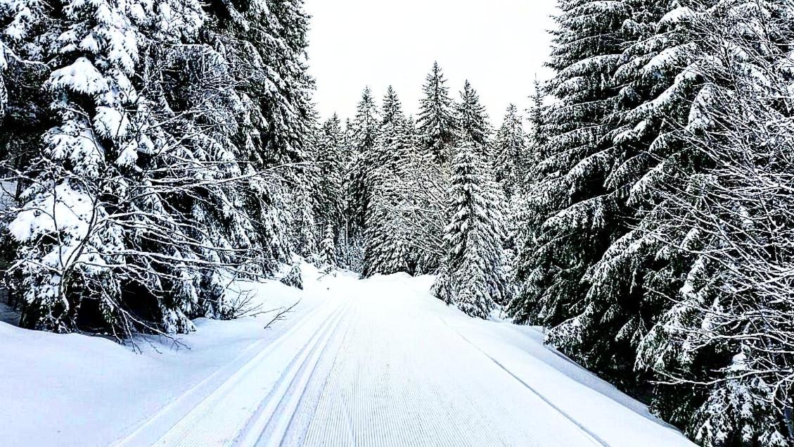 Forsters Schwarzwald Hof - Resort-Hotel&Pension