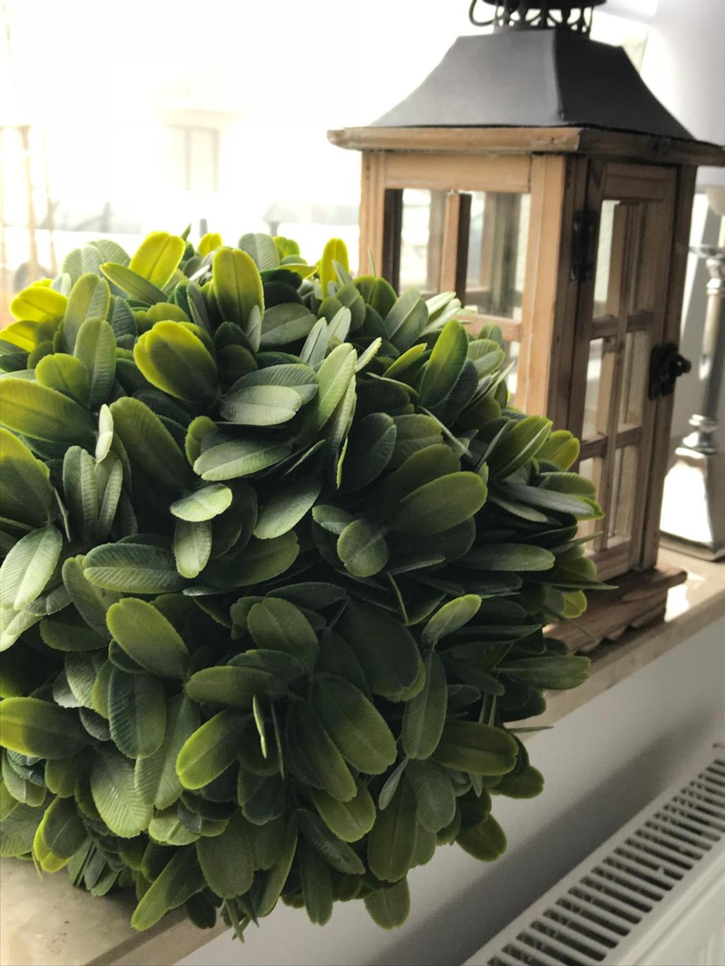 Apartament Stella Park