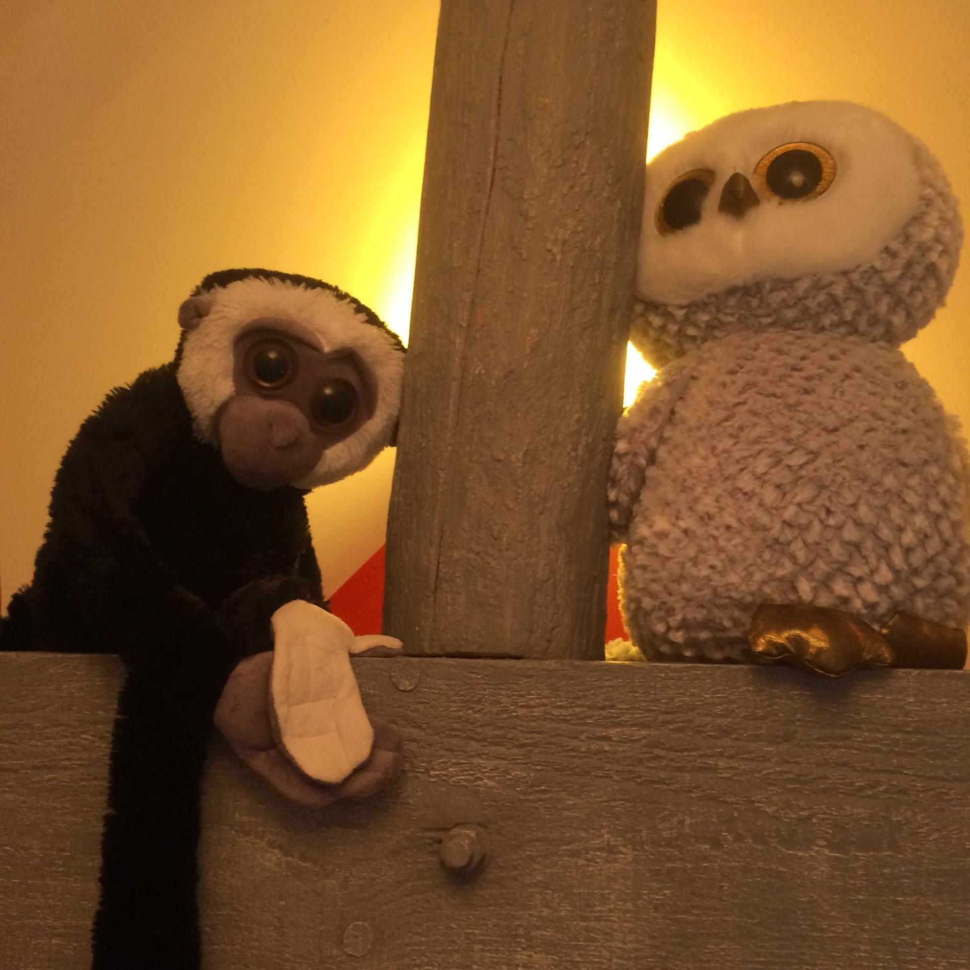 Le petit secret au pied du zoo